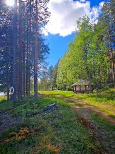 a dirt road leading to a cabin in a forest at Hossa Teeriranta in Teeriranta +11 photos