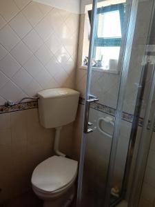 a small bathroom with a toilet and a shower at Casa dos Avós in São Brás de Alportel +14 photos