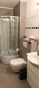 a bathroom with a shower and a toilet and a sink at Stilvolle Wohnung in Waldbrunn in Waldbrunn +11 photos