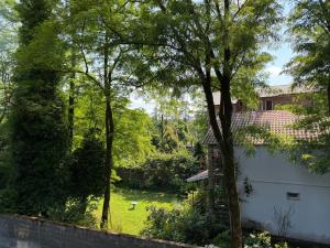 a view of a yard with trees and a fence at Shekvetili Sunset Apartments in Shekhvetili