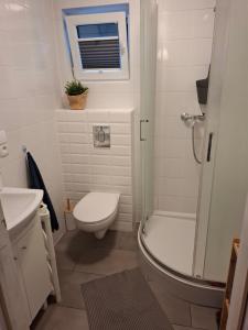 a bathroom with a toilet and a shower and a sink at Domek nad morzem 79 in Stegna +3 photos