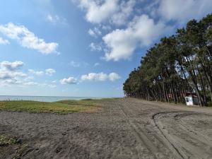 a dirt road with trees on the side of a beach at Shekvetili Sunset Apartments in Shekhvetili +44 photos