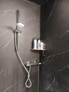 a shower with a shower head in a bathroom at A Beloeil, On Vous Acceuille in Beloeil +42 photos