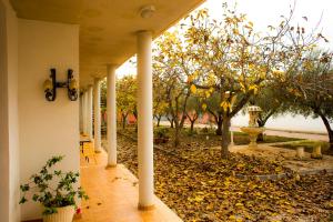 A garden outside Hotel Bon Lloc