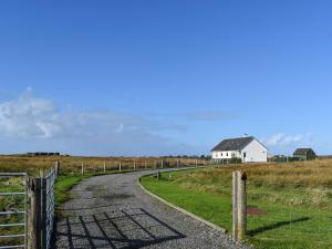 a road leading to a white house in a field at Lochboisdale Cottage in Lochboisdale