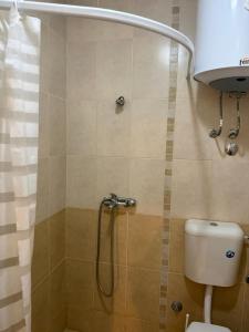 a bathroom with a shower with a toilet and a sink at Jorgovan in Bečići +9 photos