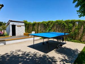 a blue ping pong table sitting on a patio at Le Chalet des Pins - La Forge De Clermont in Clermont
