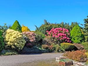 a garden with colorful flowers and trees at Sauchenshaw Cottage in Maryculter