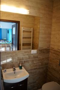 プルシュチ・グダンスキにあるVilla Terraのバスルーム(洗面台、トイレ、鏡付)