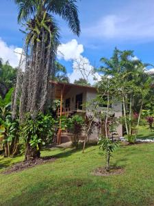 a house with palm trees in front of it at Stays at Corcovado Nature Villas in Puerto Jiménez
