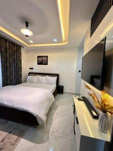 a bedroom with a bed and a desk with a television at SKYBUILT APARTMENTs in Abuja +4 photos