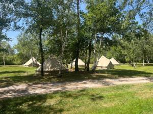 a group of tents in a field with trees at Natur'O Médoc in Naujac-sur-Mer