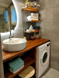 a bathroom with a sink and a washing machine at Logement indépendant dans villa direct plage Lac Leman Evian in Publier