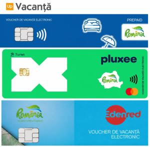 two versions of the vazant agency logos at Casa Teleferic in Buşteni