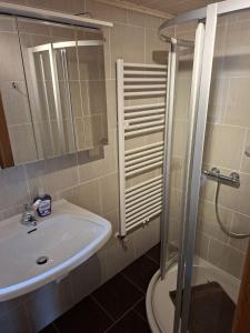 a bathroom with a sink and a shower at Chalet an der Sonne nahe Klopeiner See und Petzen Bergbahn in Sankt Stefan