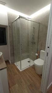 a bathroom with a shower with a toilet and a sink at Casa rural Villa Quintans in Soutullo +9 photos