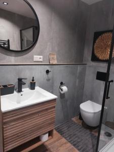 a bathroom with a sink and a toilet and a mirror at Apartmán 504 Svit in Jezersko +29 photos