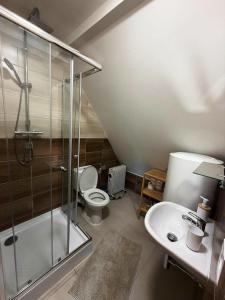 a bathroom with a shower and a toilet and a sink at Apartmán Kunratice 2 in Kunratice