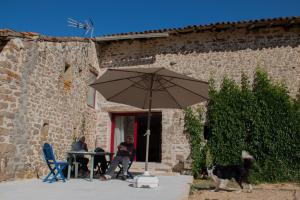 a dog is standing next to a table with an umbrella at Gîte de la Grange in Saint-Pardoux