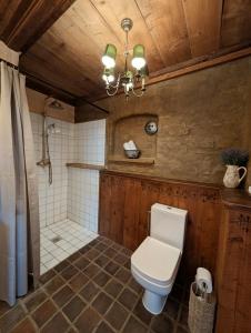 a bathroom with a toilet and a shower at Ferienwohnung Viktoria - Vintage Apartment in Bad Klosterlausnitz