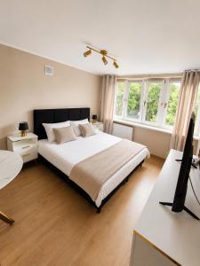 ein Schlafzimmer mit einem Bett und einem Schreibtisch mit Fernseher in der Unterkunft Golden Studio in Płock