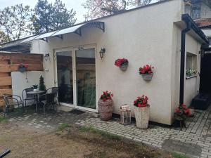 a house with two potted plants and a patio at Oliwa in Gdańsk