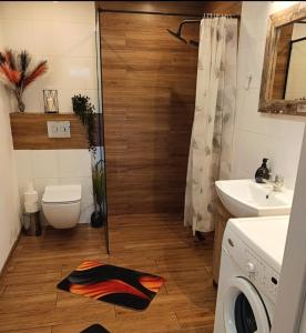 a bathroom with a shower and a toilet and a sink at Oliwa in Gdańsk