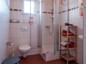 a bathroom with a shower and a toilet and a sink at Terrassenwohnung, Herrischried in Herrischried +32 photos