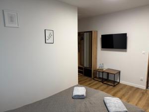 a bedroom with a bed and a flat screen tv at Słoneczna 49 in Miedziana Góra