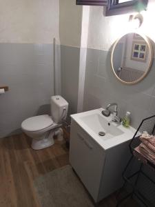 a bathroom with a toilet and a sink and a mirror at Gîte à la campagne in Laborel +4 photos