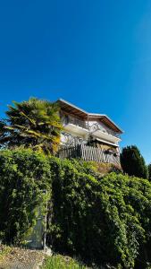 a house on top of a hill with a palm tree at Agritur Due Valli in Livo +56 photos
