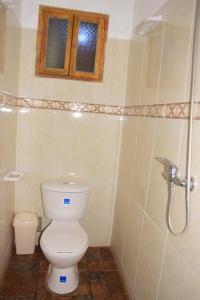 a bathroom with a toilet and a shower at Hostal Restaurant TOROTORO in Torotoro