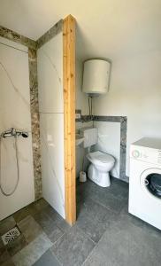 a bathroom with a toilet and a washing machine at Bungalow Volk Turjaški in Gabrovka +14 photos