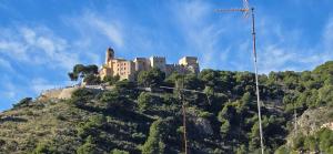 a castle on top of a hill with trees at Vistas al castillo in Cullera
