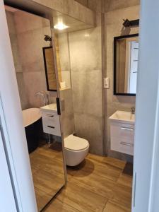 a bathroom with a toilet and a sink and a mirror at Grunwaldzka 62 in Bydgoszcz