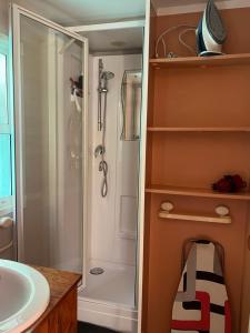 a bathroom with a shower and a sink at Mobil home devant un grenadier in Gémenos