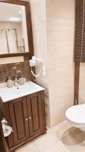 a bathroom with a sink and a toilet at Apartament Bukovy Wisła in Wisła
