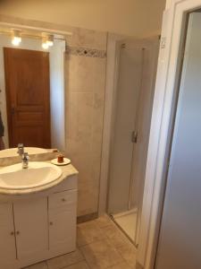 a bathroom with a white sink and a shower at laferme de chez Piché in Chérac