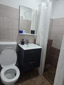 ein Badezimmer mit Toilette, Waschbecken und Spiegel in der Unterkunft VivaVero in Baia Mare