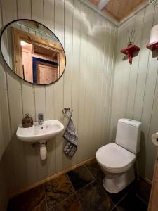 a bathroom with a toilet and a sink and a mirror at Cabin in Tuddal in Hjartdal