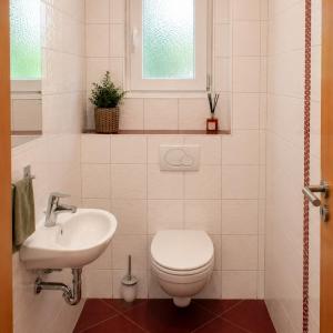 a bathroom with a toilet and a sink at "schön-urlauben" in Gröbming +65 photos