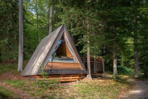a small tent in the middle of a forest at Nature's Nest - The Woods in Maribor