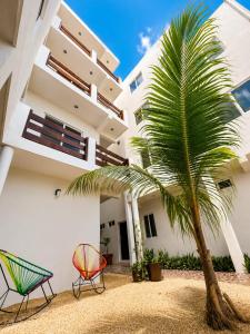 a palm tree and two chairs in front of a building at Hotel Isla Mujeres Centro & Beach Club Included in Isla Mujeres
