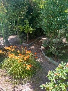 a garden with orange flowers and trees and a fence at Villa Sveva in Làconi