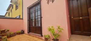 a door to a building with potted plants next to it at Mgrahamhouse in Tacoronte