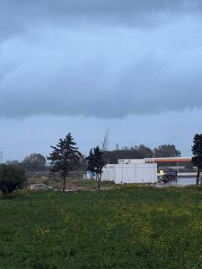 a field of green grass with a building in the background at Radi in Menzel Jemil