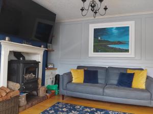 a living room with a couch and a fireplace at Dunfolan House in Dundrum