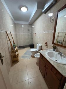 ein Badezimmer mit Toilette, Waschbecken und Dusche in der Unterkunft House Calhambeque in Meimoa