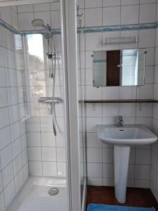 a bathroom with a sink and a shower at Le refuge des Champeaux in Domecy-sur-le-Vault +25 photos