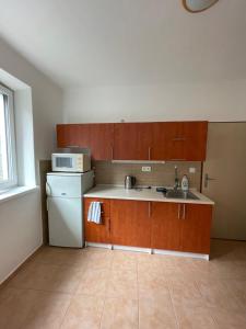 a kitchen with wooden cabinets and a white refrigerator at Leon in Lomnice nad Lužnicí